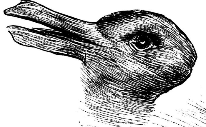 The Rabbit-Duck head illusion 