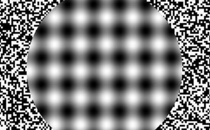 A circle with fuzzy black and white dots inside 