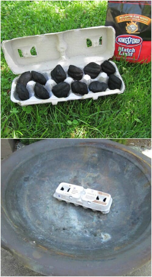 An empty egg carton filled with charcoal