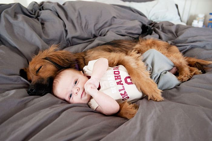 Baby and dog cuddling