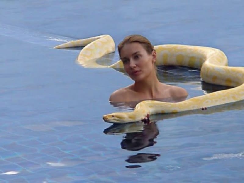 Woman in the water with a python 