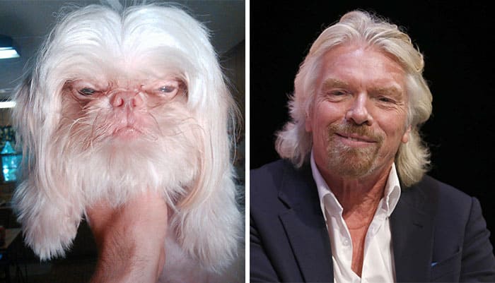 Richard Branson and a dog