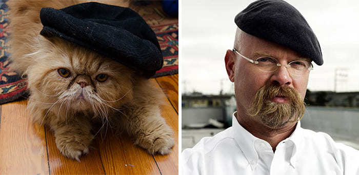 Jamie from Mythbusters and a cat
