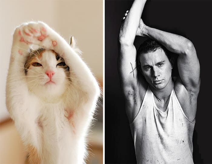 Channing Tatum and a Cat 