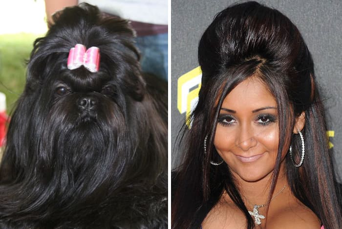 Snooki and a dog