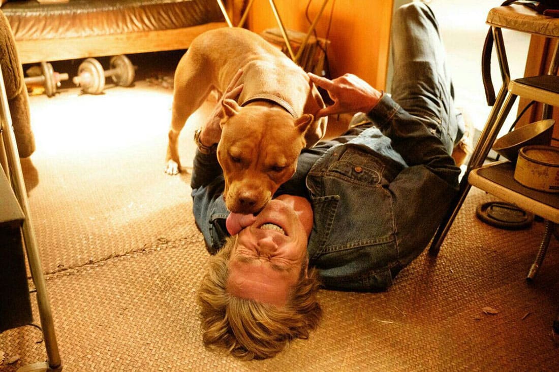 Brad Pitt and a bulldog