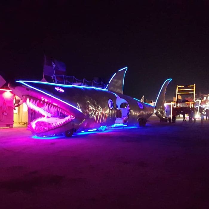 Shark sculpture 