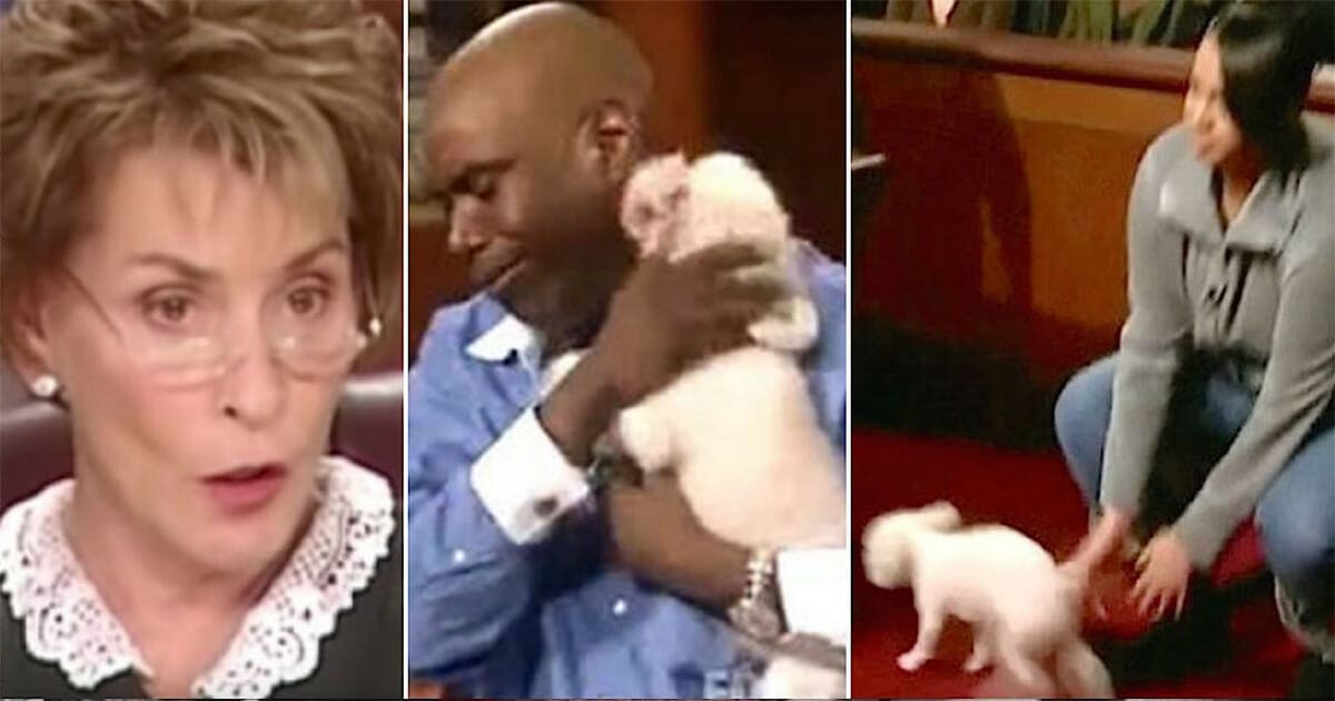 Judge Judy case with the dog