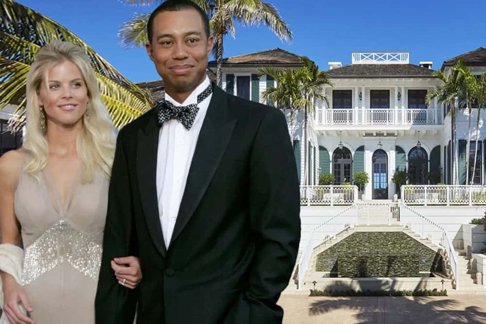Elin and Tiger and their mansion 
