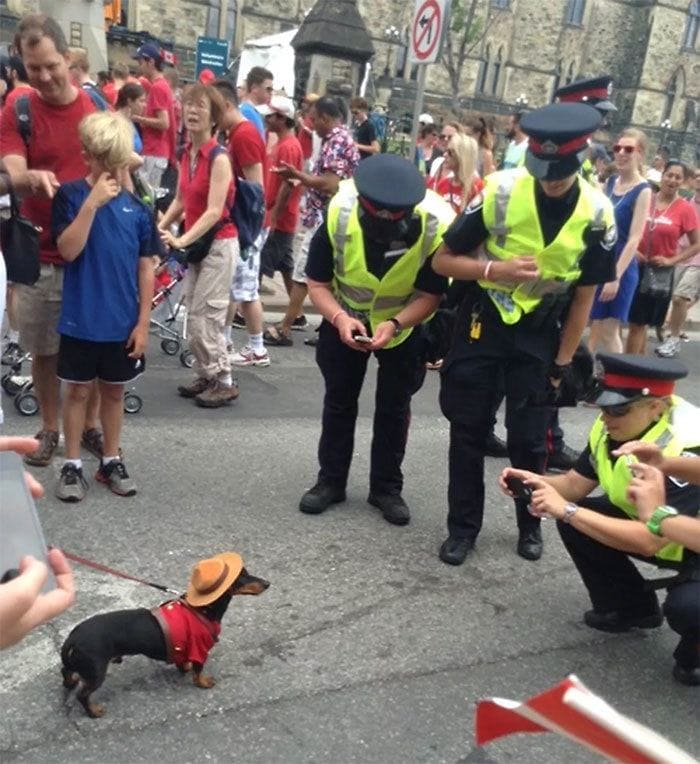 Cops taking a photo of a dog