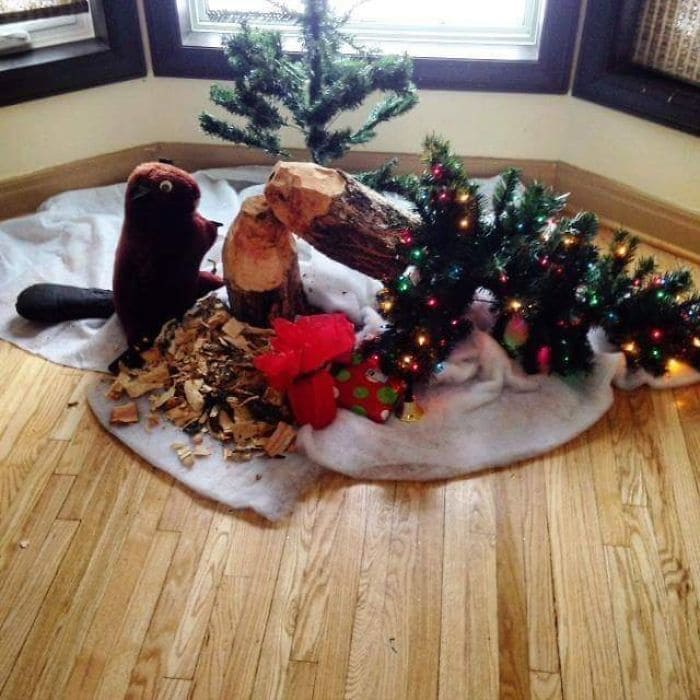 Broken Christmas tree with a stuffed animal beaver next to it
