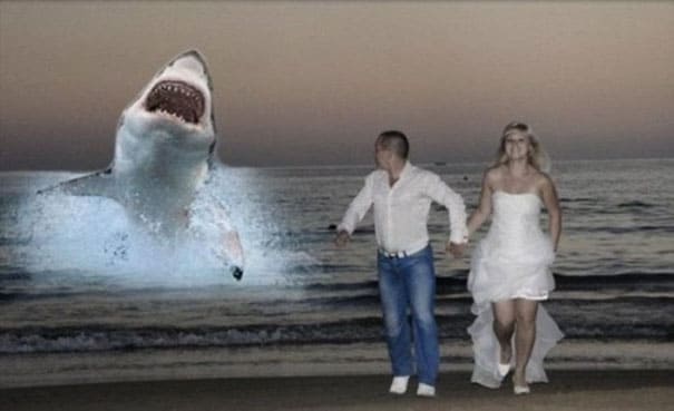 photoshopped photo of couple running away from a shark