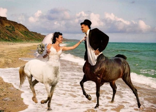 photoshopped image of a married couple with the bodies of horses