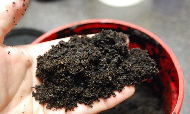  old coffee grounds with soil
