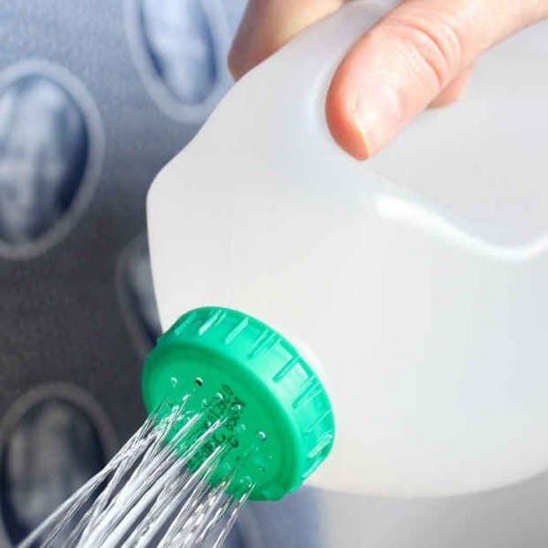  Old milk jug as watering can