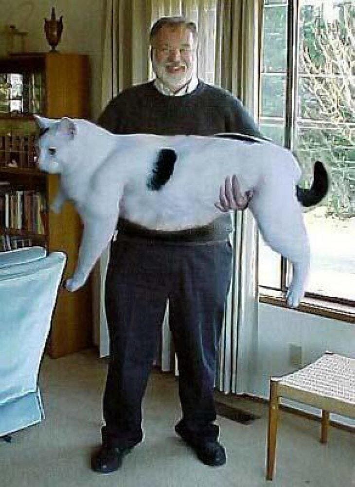 Man holding up a large cat 