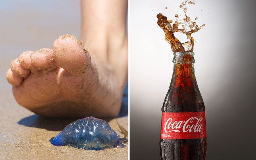 Waling on a jellyfish / Coca Cola Bottle