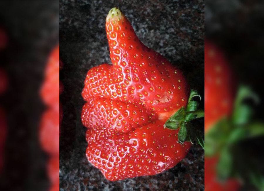 a strawberry giving a thumbs up