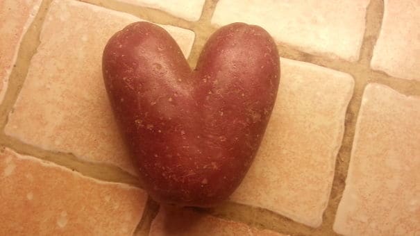 A heart-shaped potato 