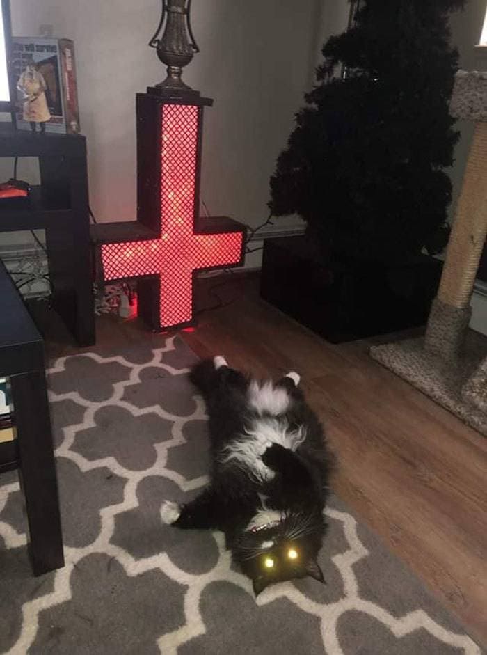 Cat lying on his back, with glowing eyes, in a room with a big red cross