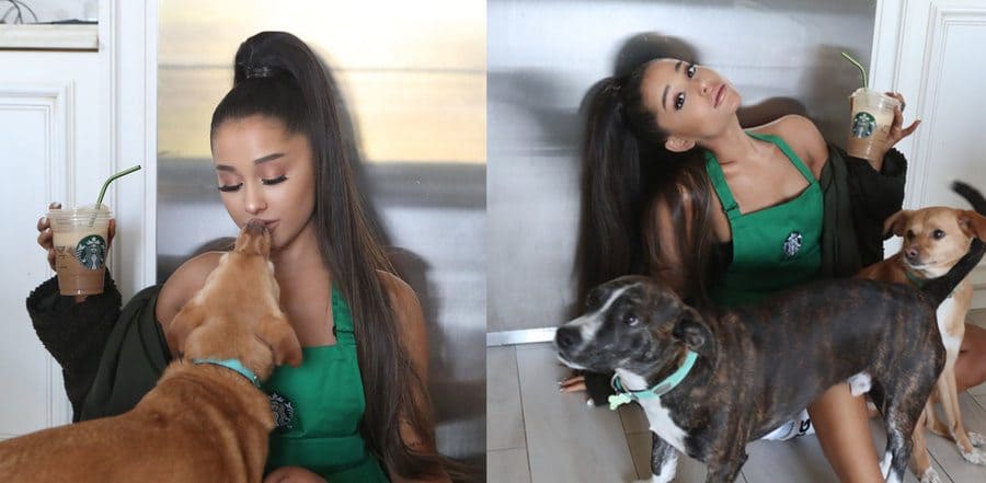 Ariana Grande was photographed in two pictures with her iced coffee and dogs in a Starbucks apron. 