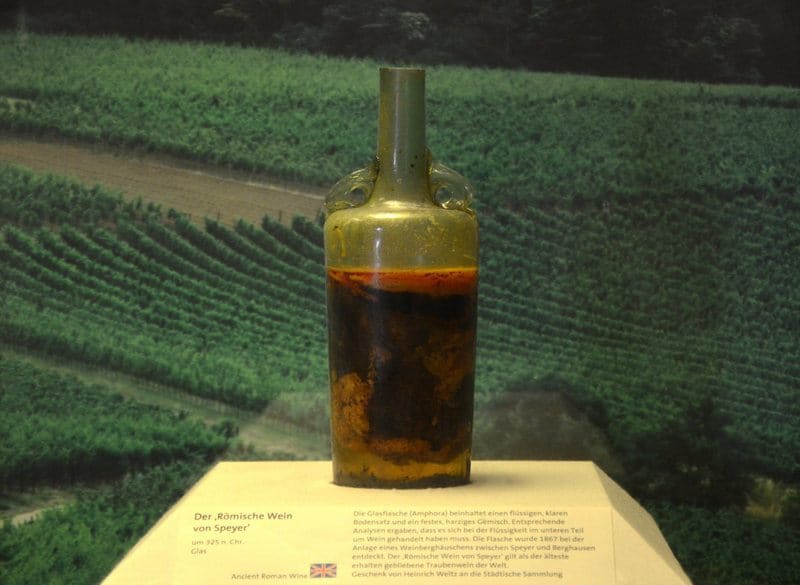 Photograph of the oldest bottle of wine on display in a museum. 