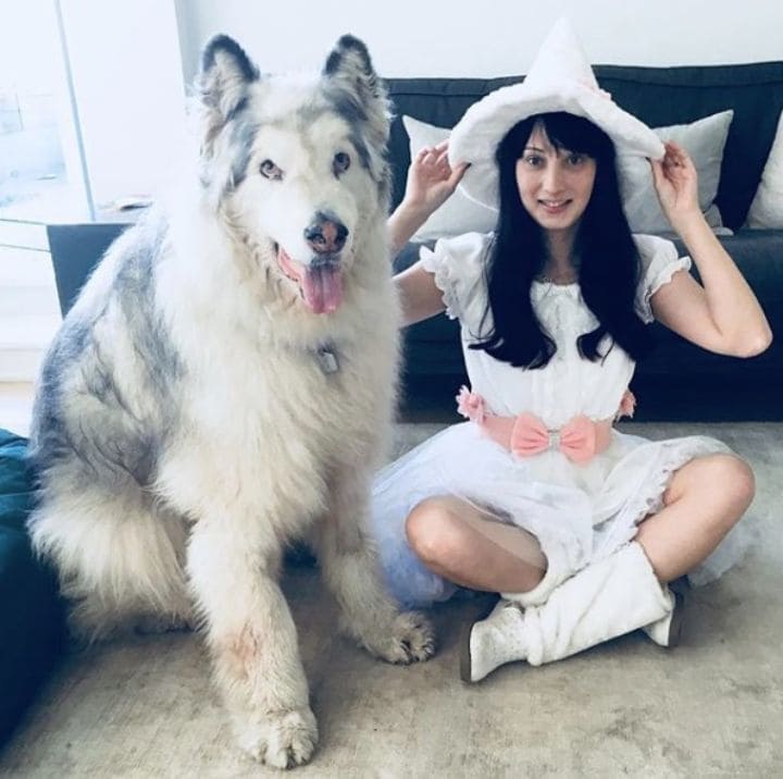 Danny Direwolf and his owner