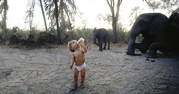Tippi Degré as a child and elephants surrounding her