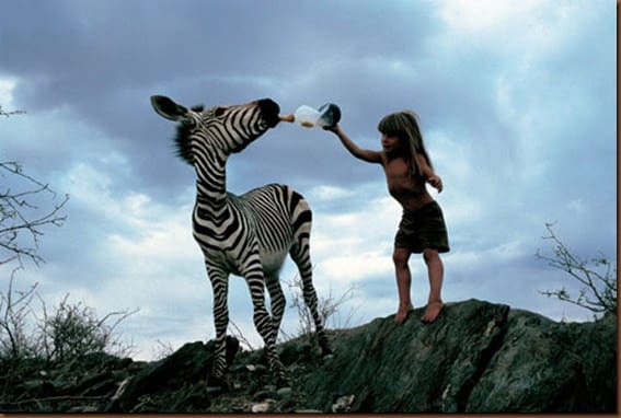 Tipi Degre is feeding a Zebra