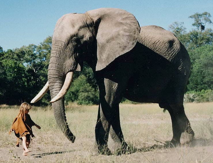 Tippi Degre in front of an elephant 