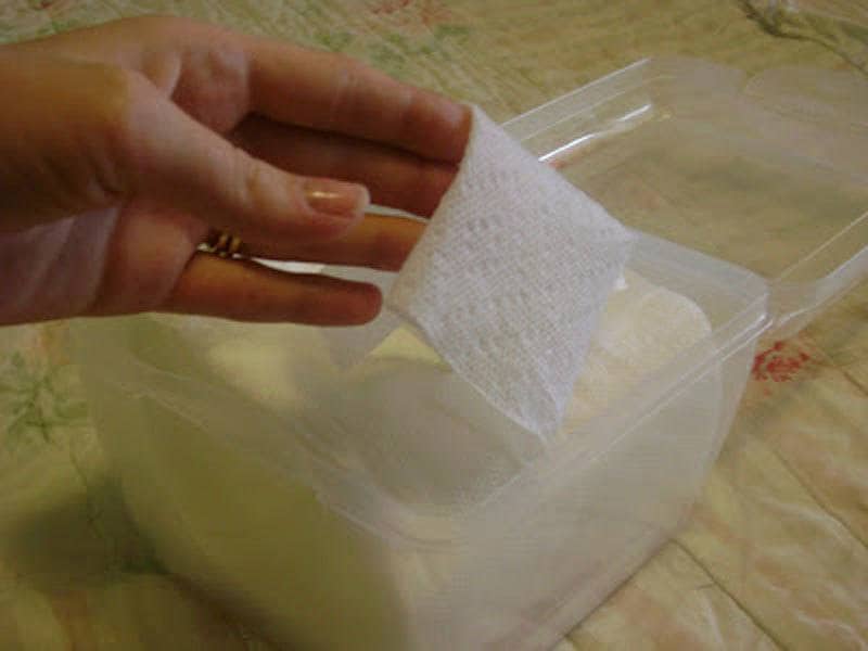 A photograph of cheese in a Tupperware container wrapped in a paper towel.