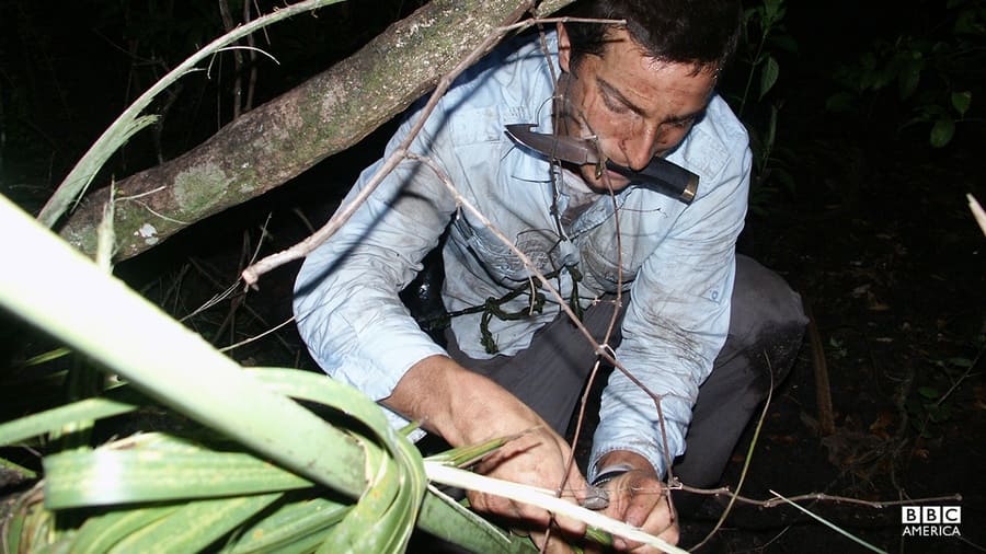 Bear Grylls fighting to get out of the Florida Everglades