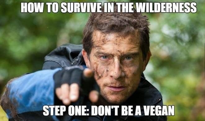One of the many memes featuring Bear Grylls 