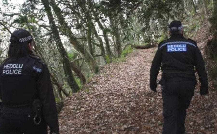 Heddlu police officers walking through the woods 