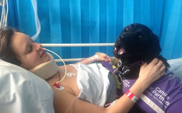 Sally lying in a hospital bed with her service dog at her side 