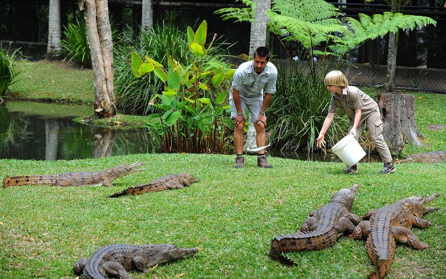 Robert Irwin feeding crocodiles 