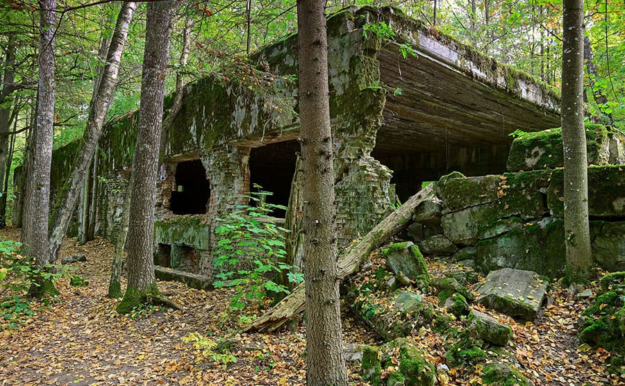 Wolf’s Lair, which is an old abandoned building covered in moss in the middle of the forest 