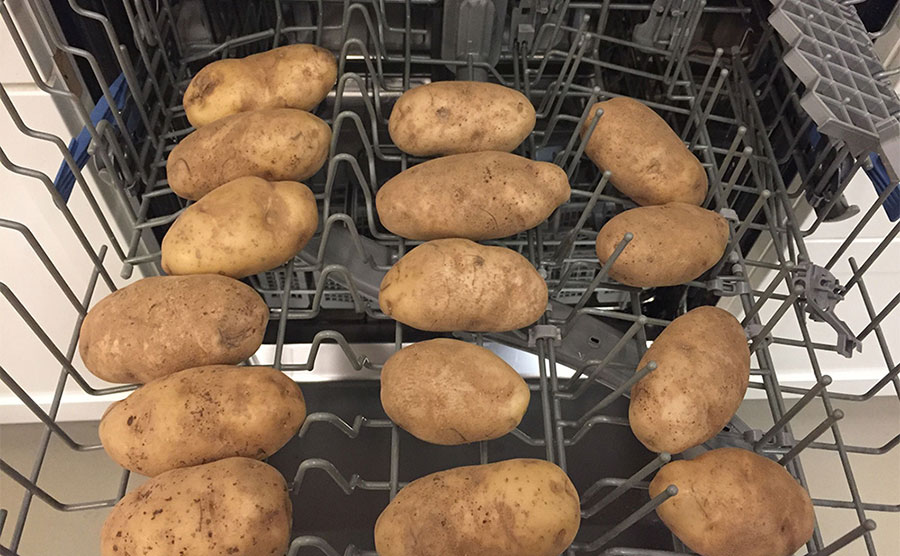 Potatoes in the dishwasher