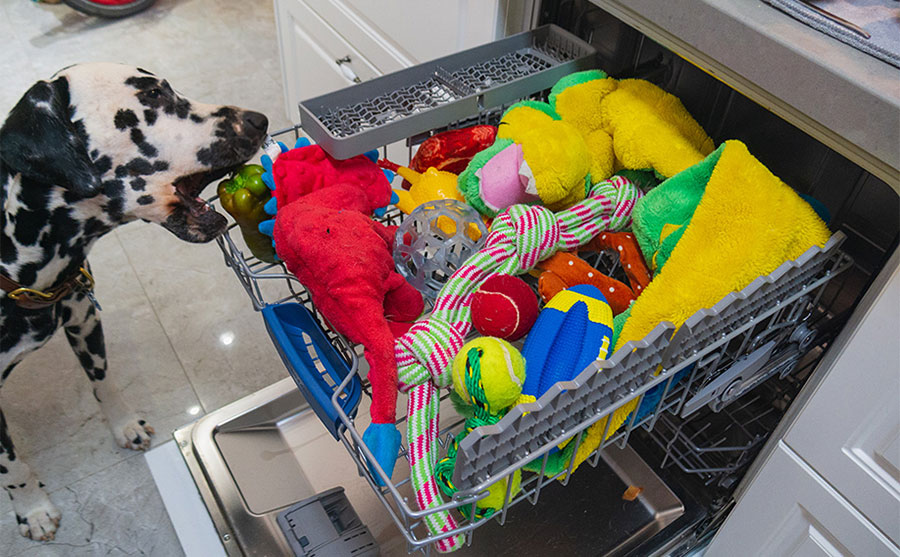 Dog toys in the top of a dishwasher with a dalmatian reaching in to grab one of them 