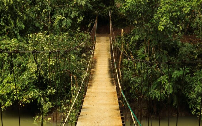 A narrow foot bridge over a creek near Drake Bay, Corcovado National Park, Costa Rica.