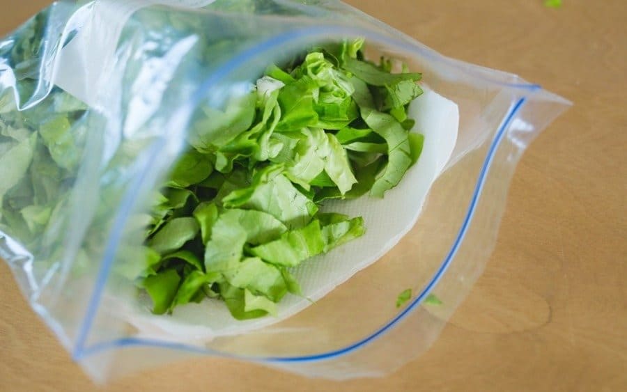 lettuce in a Ziplock bag