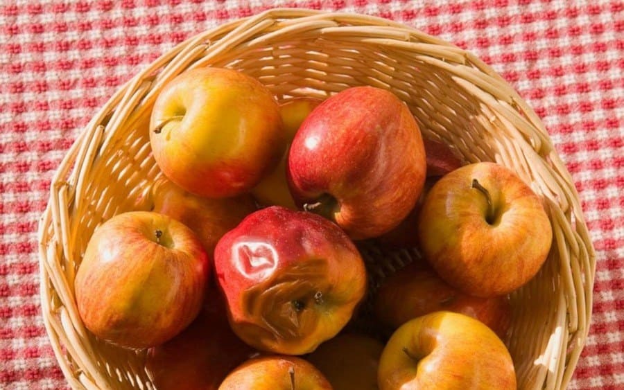 A basket with apples with one rotten apple 