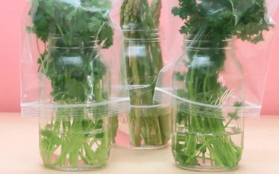 Herbs wrapped in a plastic bag