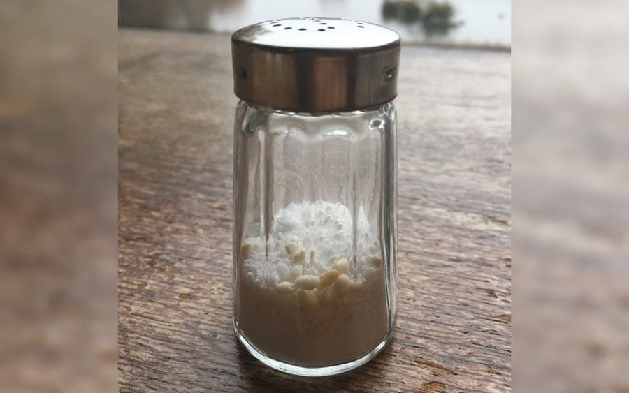 Grains of rice in a salt shaker