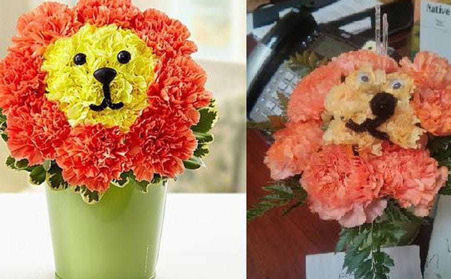 A la izquierda un lindo arreglo de flores en forma de león, a la derecha el mismo modelo de arreglo pero deforme
