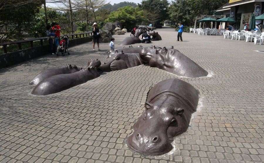 Esculturas de Hipopótamos en el Zoológico de Taipei, Taiwán