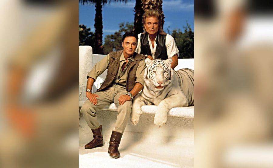 Siegfried and Roy pose with a white tiger. 