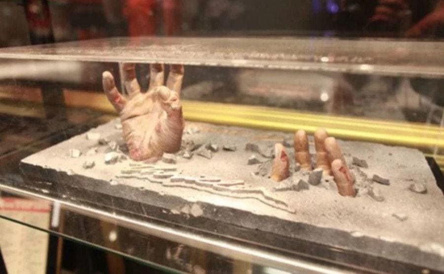 A sculpture of a pair of hands in a display case. 