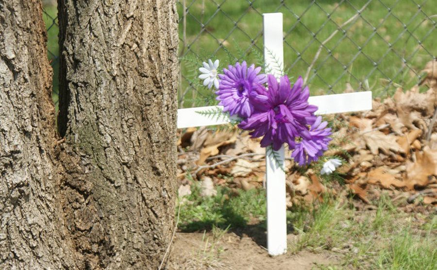 A cross with purple flowers is planted by a tree as Heather’s memorial.