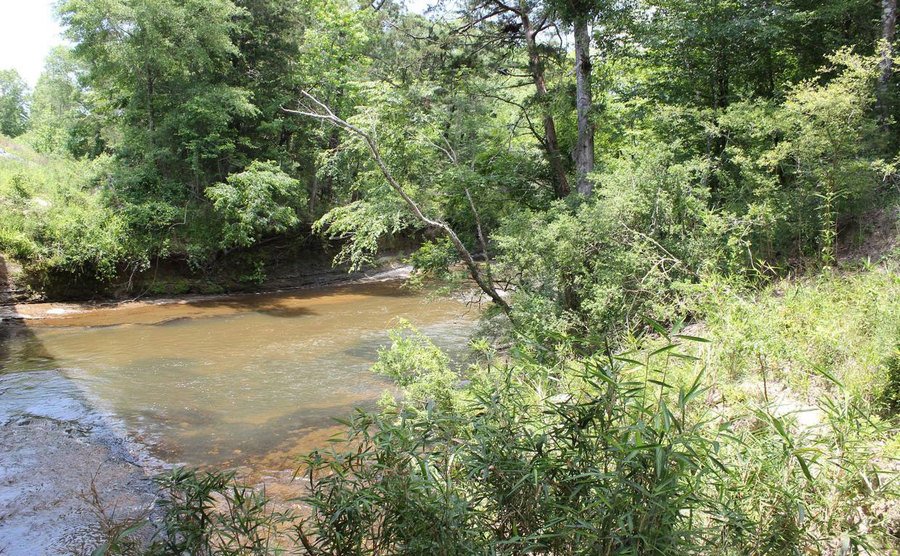 A view of the Choctawhatchee River.